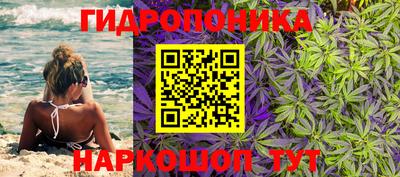 jwh Пугачёв