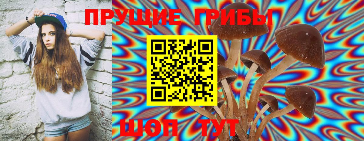Псилоцибиновые грибы Magic Shrooms Сочи