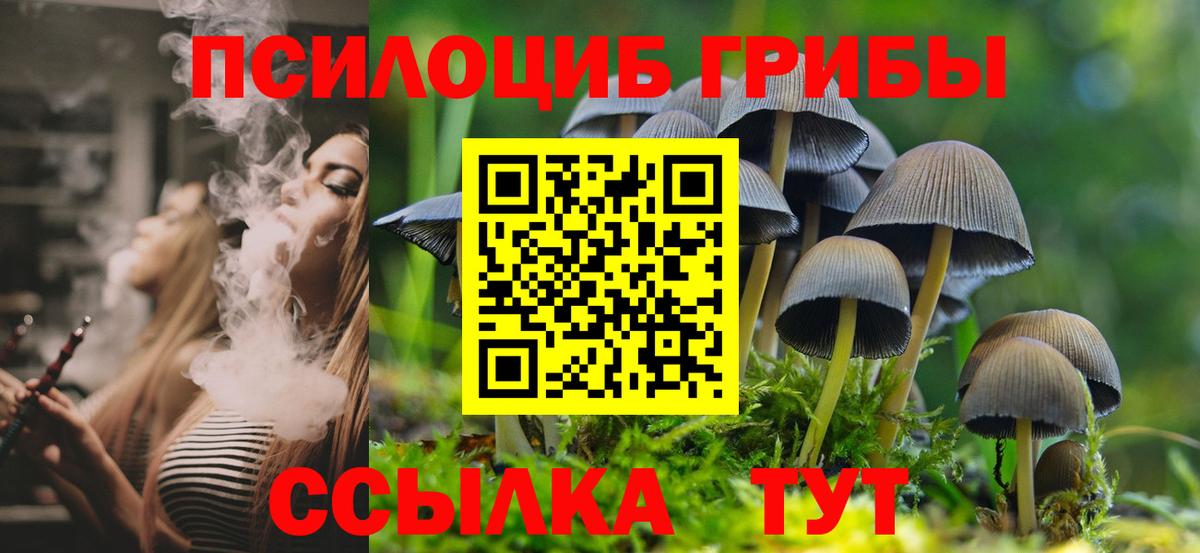 Псилоцибиновые грибы мухоморы  цена   Сочи  Вход с VPN  Псилоцибиновые грибы прущие грибы 